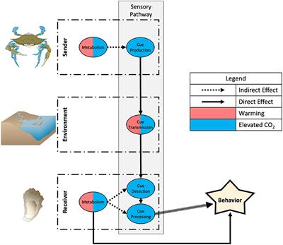 Impacts of Global Warming and Elevated CO2 on Sensory Behavior in Predator-Prey Interactions: A Review and Synthesis